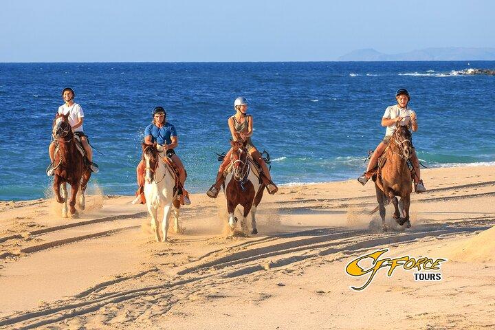 Horseback Riding Tour in Los Cabos