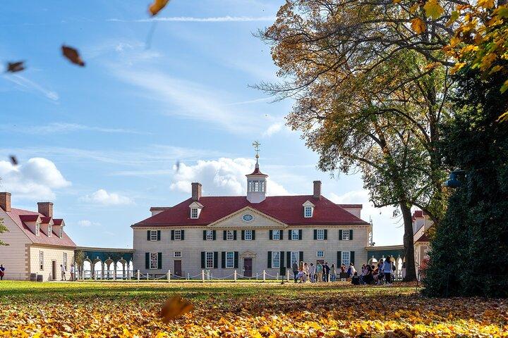 From Washington DC Mount Vernon and Alexandria Private Day Tour