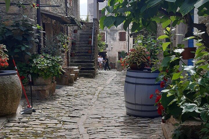 Istrian hill top cities tour with truffle and olive oil tasting