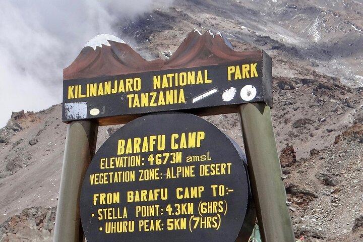 7 Day Kilimanjaro Climbing Lemosho Route