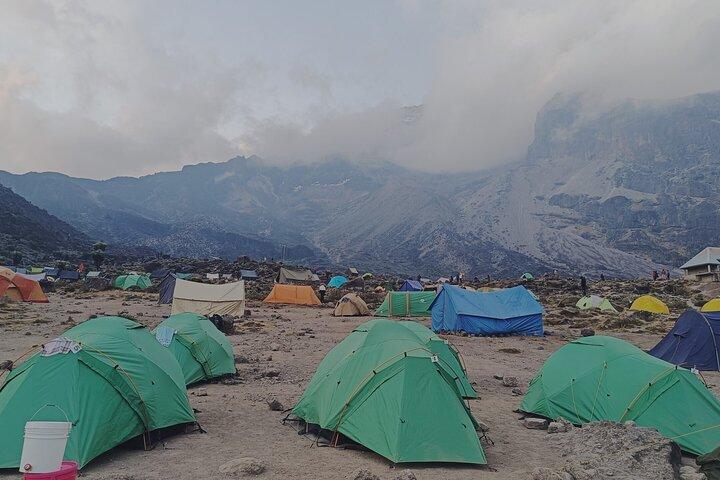 7 Day Kilimanjaro Climbing Lemosho Route