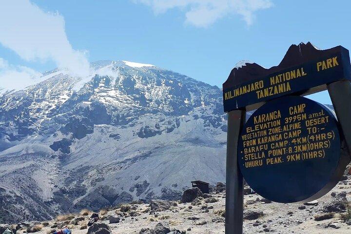 7 Day Kilimanjaro Climbing Lemosho Route