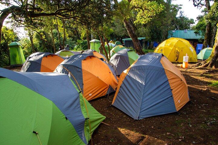 7 Day Kilimanjaro Climbing Lemosho Route