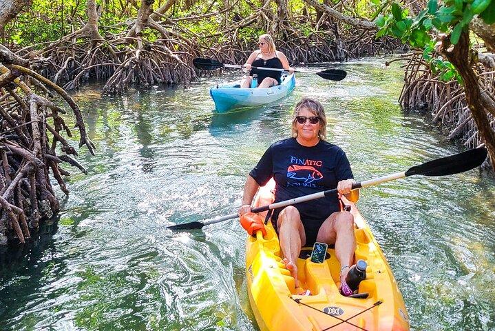 Private Mangrove Tunnel & Manatee Kayak Tour — Lido Key