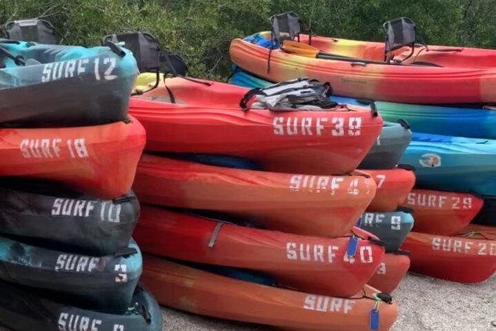 Private Mangrove Tunnel & Manatee Kayak Tour — Lido Key