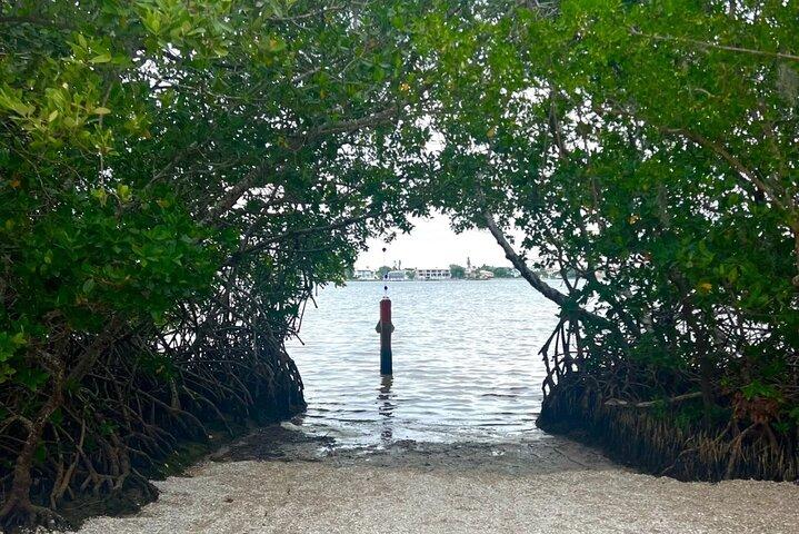 Private Mangrove Tunnel & Manatee Kayak Tour — Lido Key