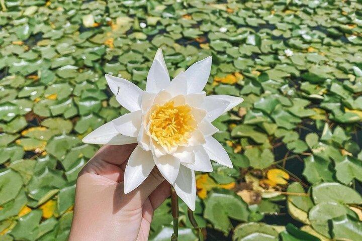 Into the Heart of Lake Skadar Nature and History Boat Tour