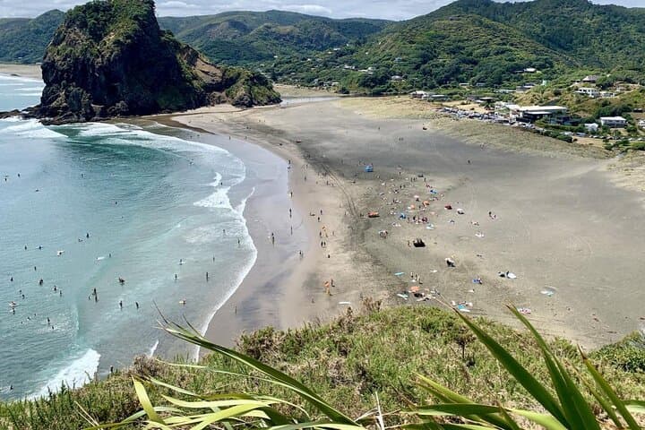 Explore BLACK SAND PIHA BEACH, and Water Falls in West Auckland