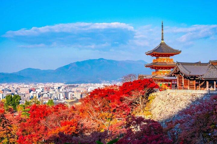 The Perfect One Day in Kyoto – A Small Group Cultural Experience
