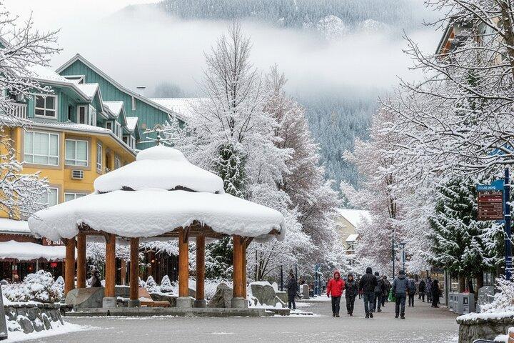 Whistler: Sea to Sky Gondola Shannon and Brandywine Falls Tour