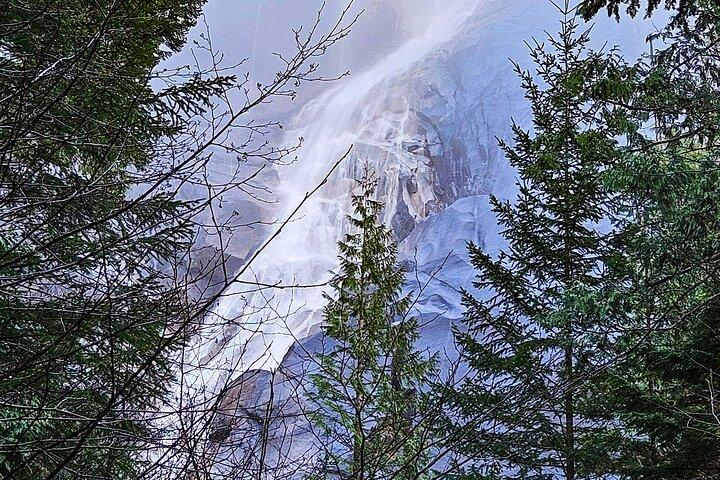 Whistler: Sea to Sky Gondola Shannon and Brandywine Falls Tour