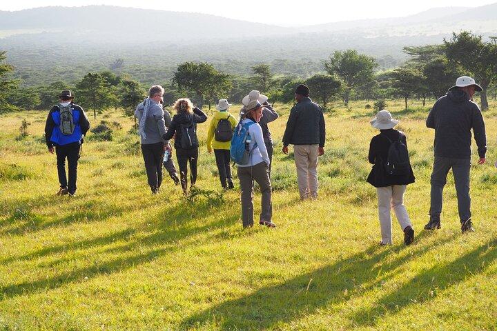 7-Day Tanzania Private Luxury Safari, Culture & Night Game Drive