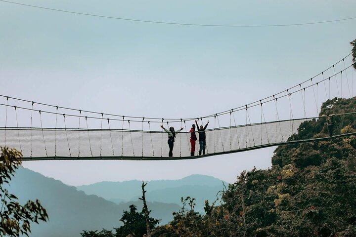 3 Days Chimpanzee Canopy and Zipline Adventure in Nyungwe