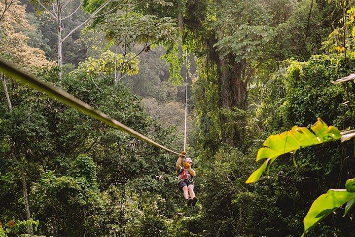 2) Zipline in the Rainforest with Transportation