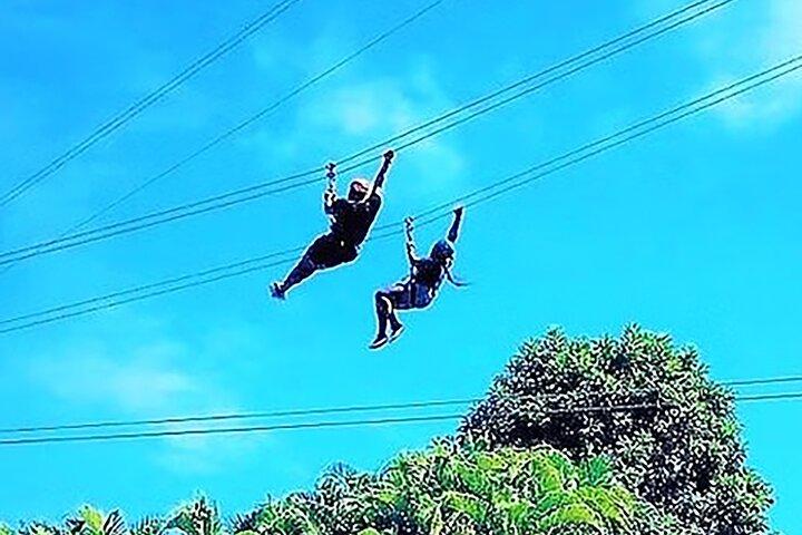 2) Zipline in the Rainforest with Transportation