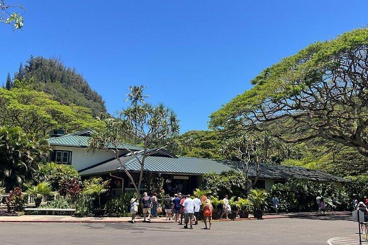 Oahu Small-Group Circle Island Tour with Turtle Snorkeling