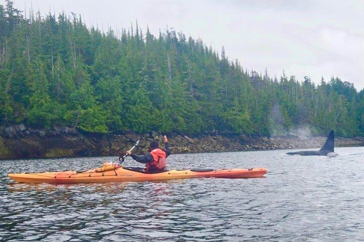 Orca Cove Sea Kayaking