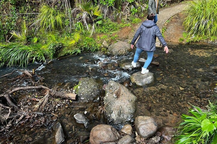 Explore BLACK SAND PIHA BEACH, and Water Falls in West Auckland