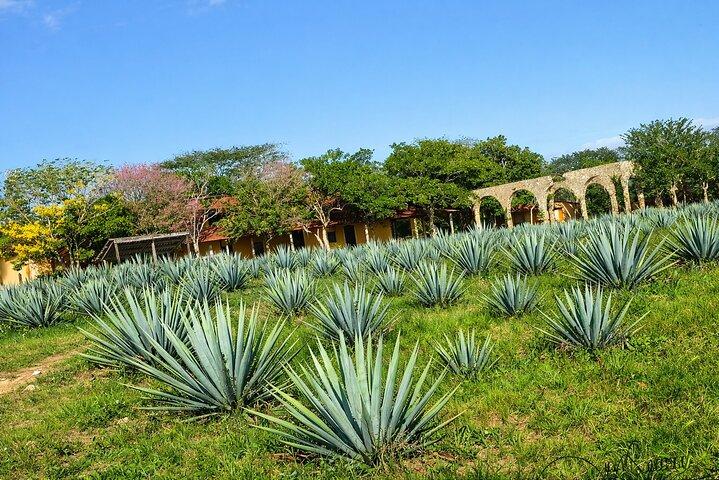 Tour early access to Chichen itza, Cenote Hubiku and Valladolid