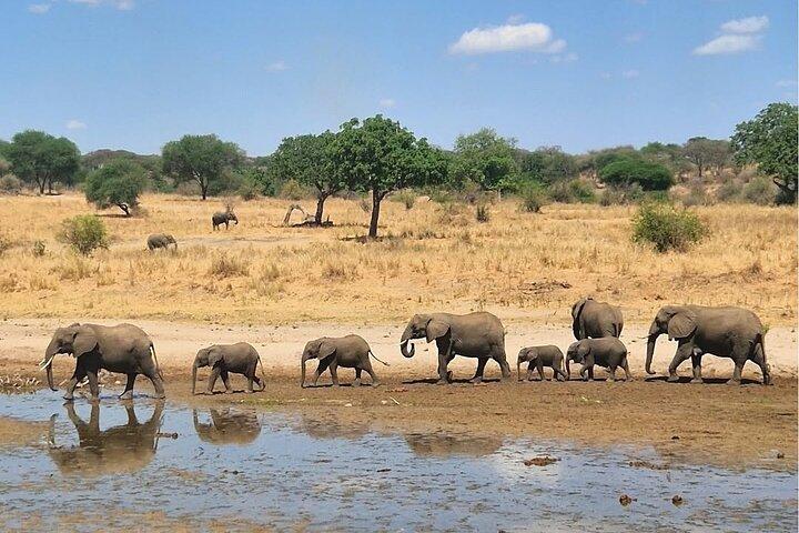 Tarangire National Park Joining Group Day Safari