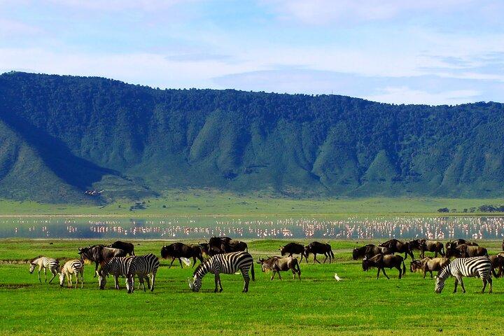 Tarangire National Park Joining Group Day Safari
