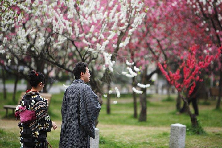 Kyoto Imperial Palace & Nijo Castle Guided Walking Tour - 3 Hours