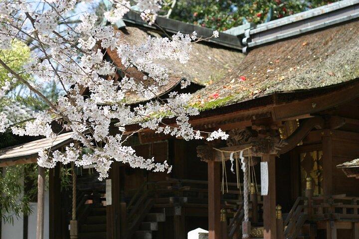 Kyoto Imperial Palace & Nijo Castle Guided Walking Tour - 3 Hours