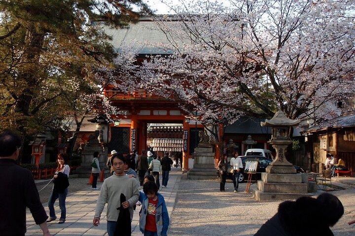 Kyoto Gion Night Walk & Geisha District Guided Tour