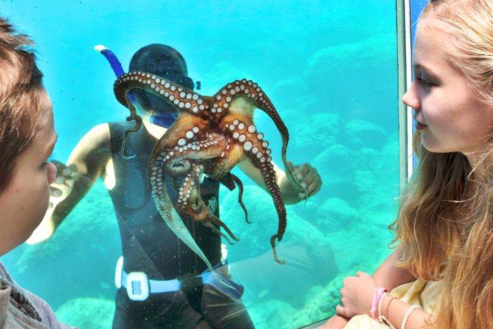Yellow Submarine Cruise with Underwater Views
