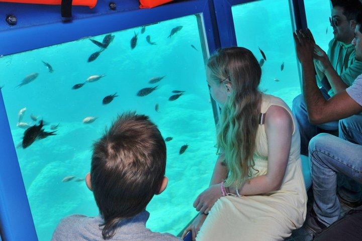 Yellow Submarine Cruise with Underwater Views