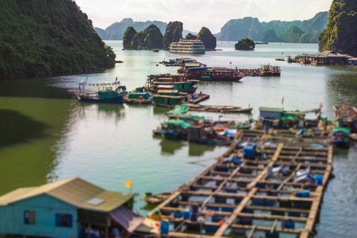 Bhaya Essence Journey Discover Halong's Calm Beauty