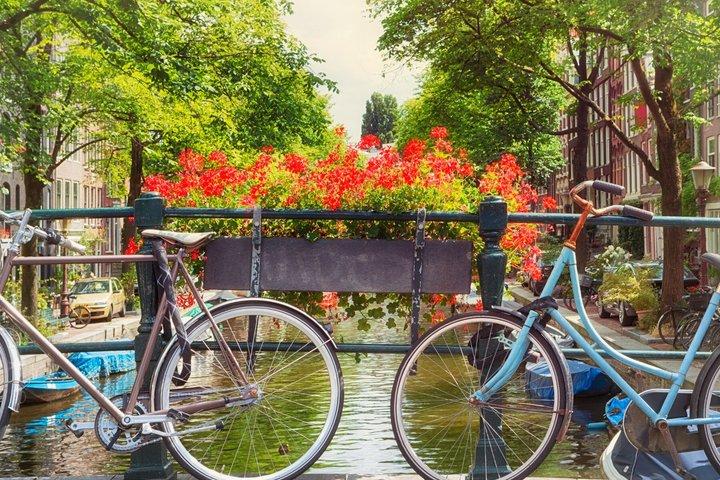 TOP Amsterdam: Private Guided Tour with your mobile