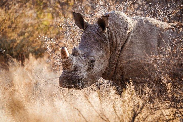 Budget friendly 3 days group joining safaris in Tanzania