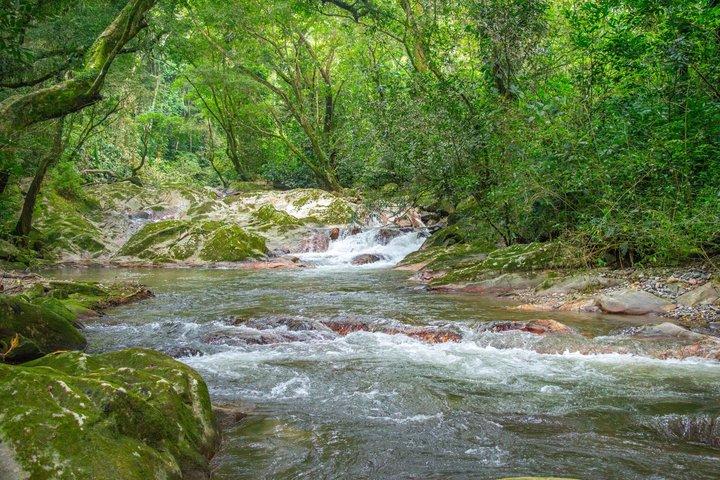 La Victoria Coffee & Waterfalls: Santa Marta Private Shore Tour