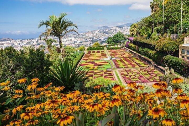 Funchal Botanical Garden and Old Town Tuk Tuk Experience