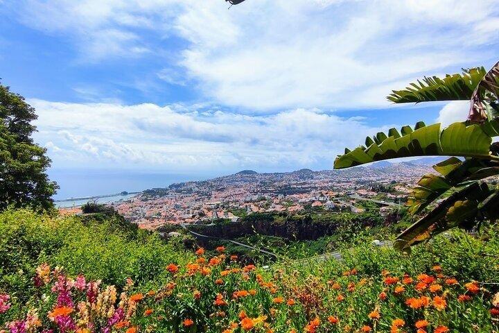 Funchal Botanical Garden and Old Town Tuk Tuk Experience