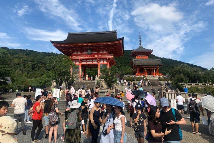 Kyoto Private Cultural and Historical Tour in Spanish