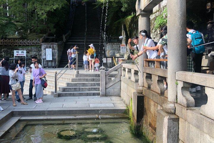 Kyoto Private Cultural and Historical Tour in Spanish