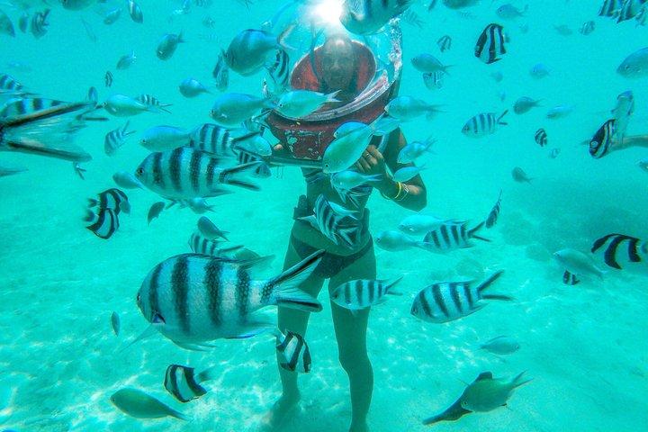 Adventure Undersea Walk Parasailing and Tube Riding with Transfer