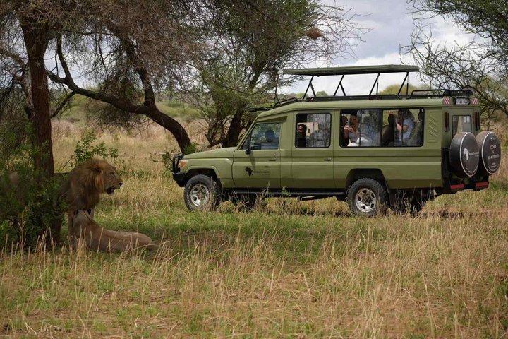 3 Day Private Safari to Serengeti and Ngorongoro Crater