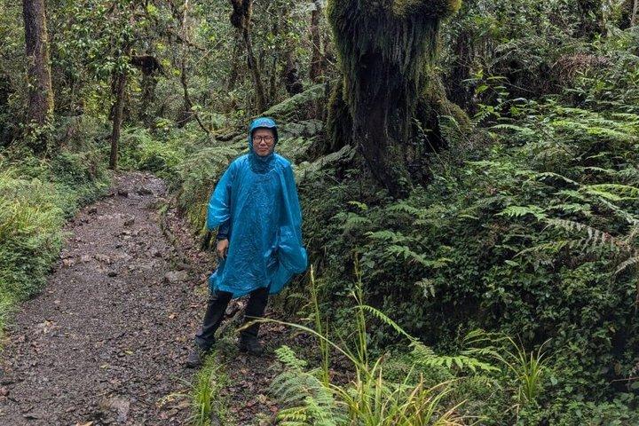 Kilimanjaro day hike tour marangu route