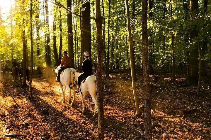 Date Night a 45 minutes Trail Ride
