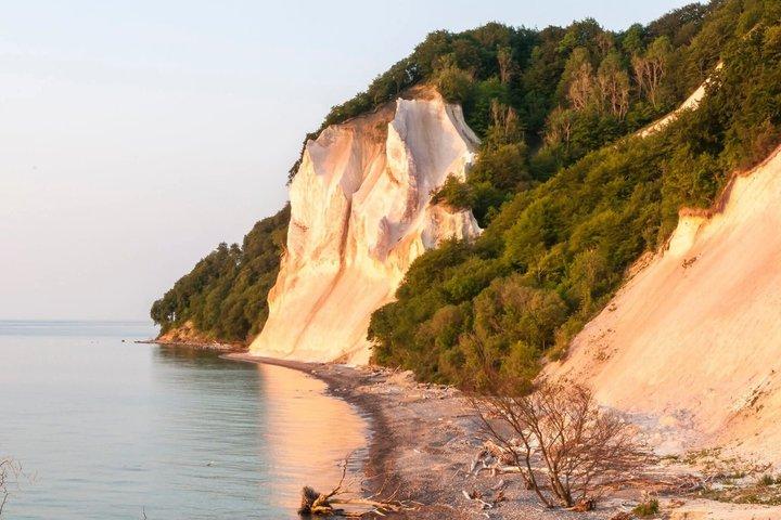 Møns klint and The Forest tower - A day tour from Copenhagen