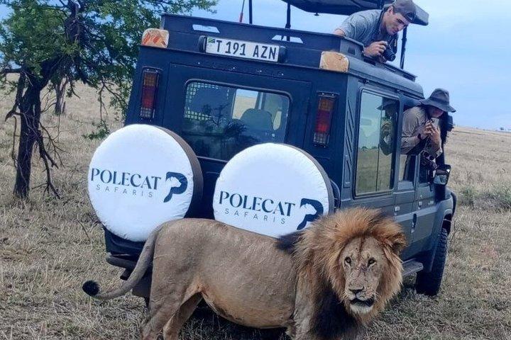 6-Days Walking, Biking, Serengeti, Crater, Materuni & Chemka