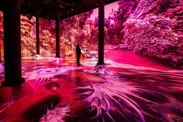 ARTECHOUSE NYC Admission Ticket