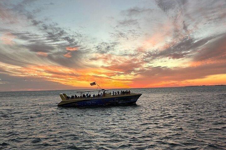 SeaQuest Sunset Dolphin Cruise in Destin
