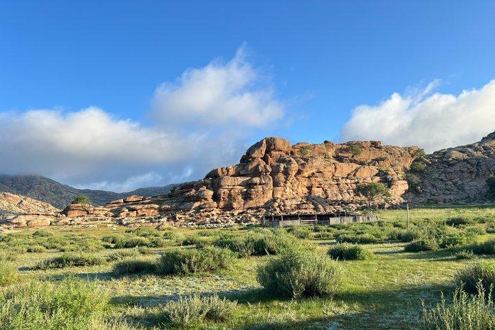 4 Days Tour in Chinggis Khan Statue and Terelj NPark