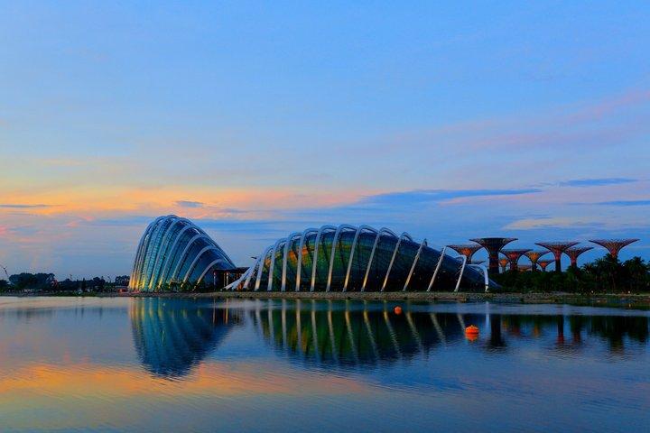 Gardens by the Bay & Marina Bay SkyPark with 2 Way Transfer