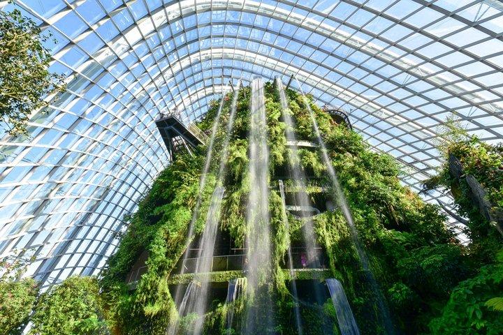 Gardens by the Bay & Marina Bay SkyPark with 2 Way Transfer