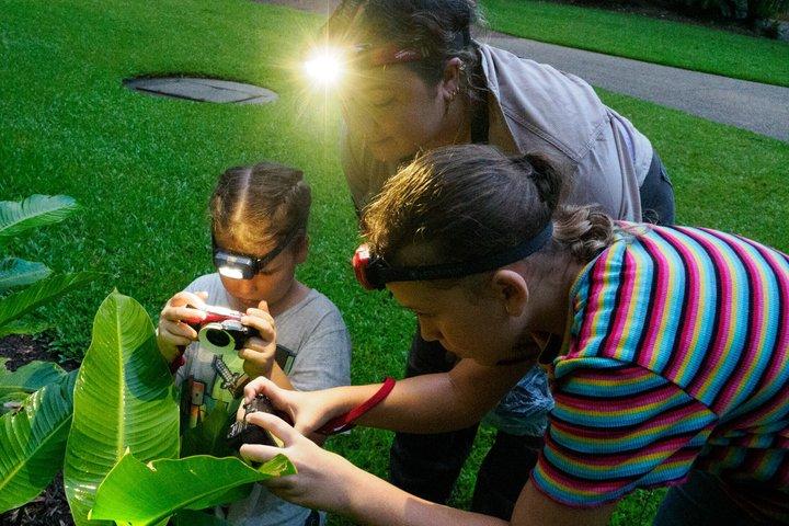 Cairns Botanic Gardens Family Night Walk